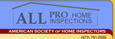 home inspector, home inspection, new jersey, nj, radon, termite, electrical, home 