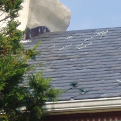 Roof_PA210001