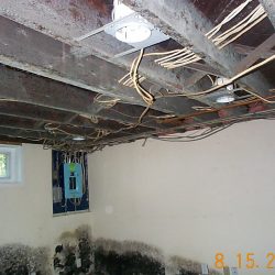 mold_basement_5